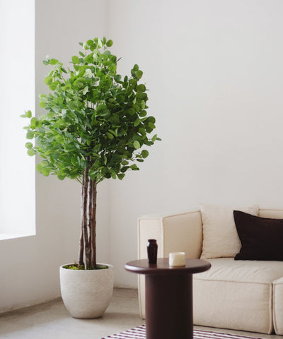 Plantas Artificiales 185 cm
