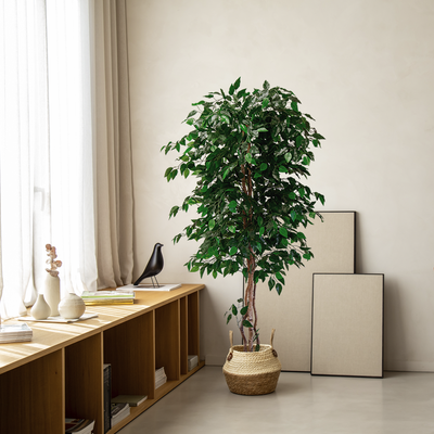 Künstlicher Ficus mit nein Baumkronen