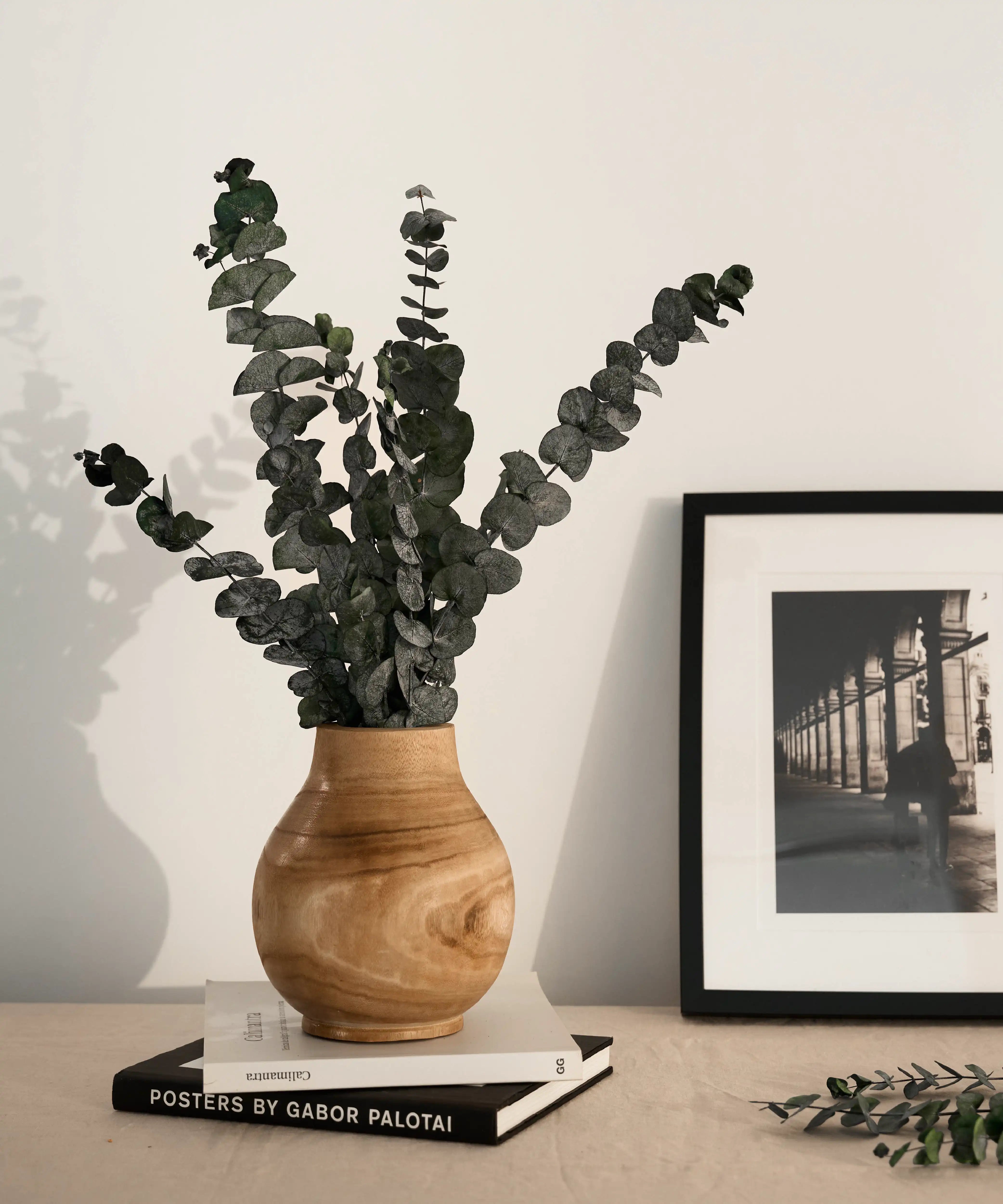 Plantas Preservadas