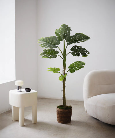 Plantas Artificiales Decorativas