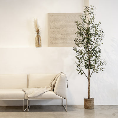 Minimaler künstlicher Olivenbaum