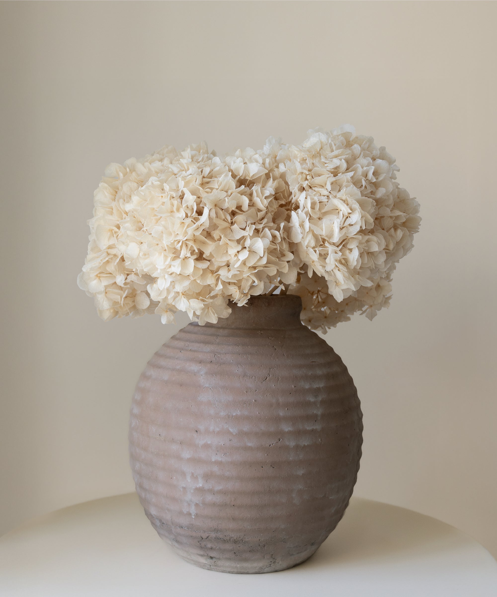 Ramo de Hortensias Preservadas