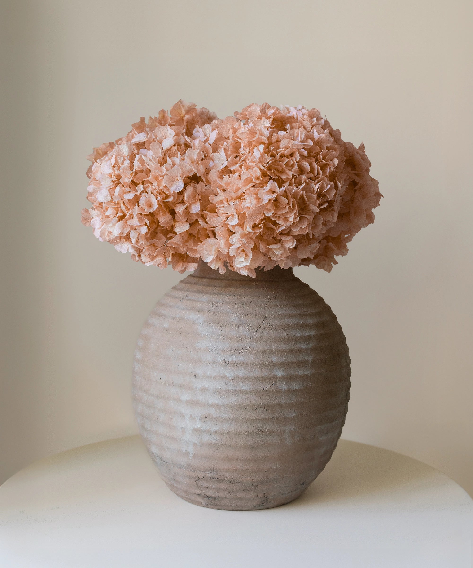 Ramo de Hortensias Preservadas