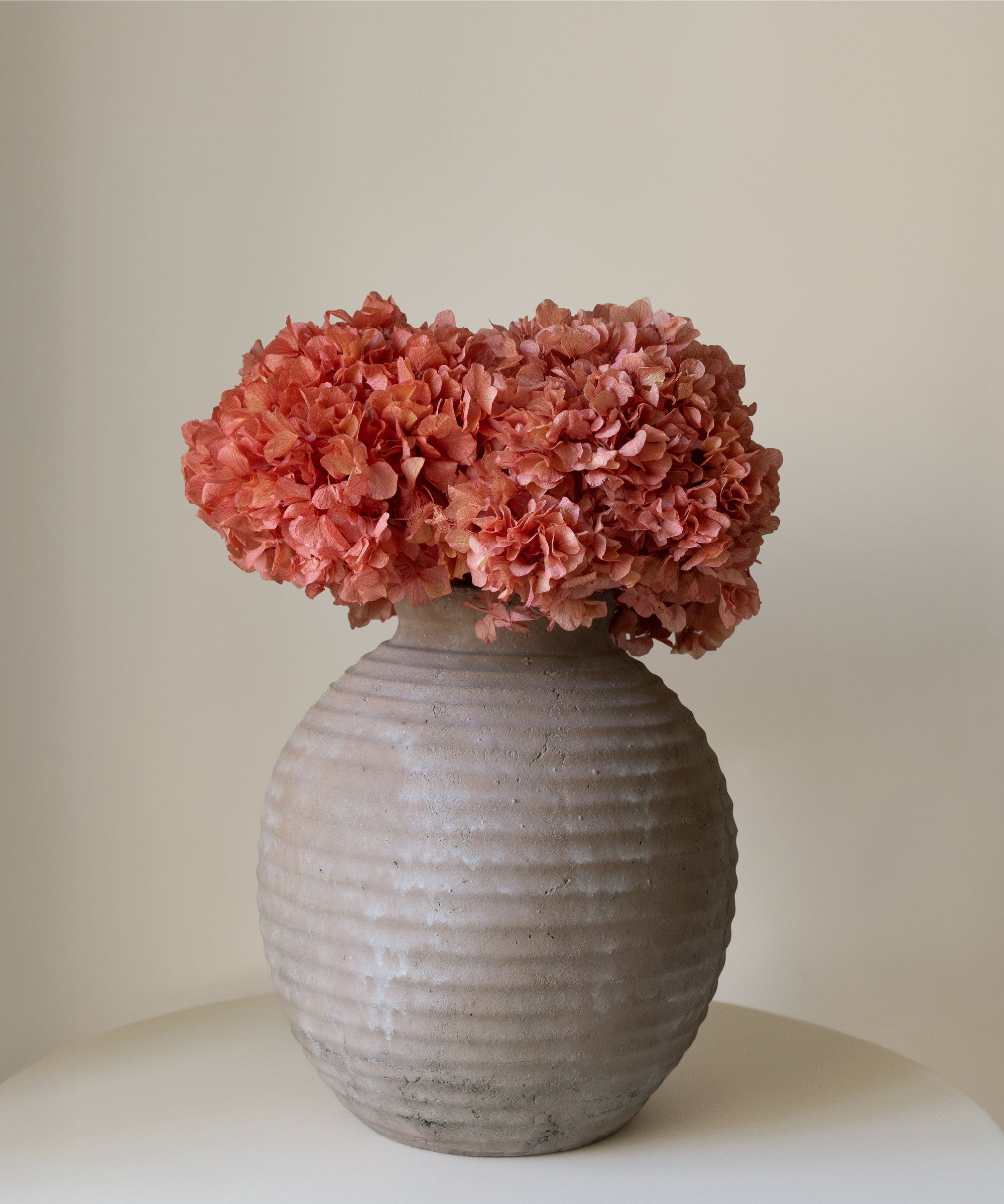 Ramo de Hortensias Preservadas