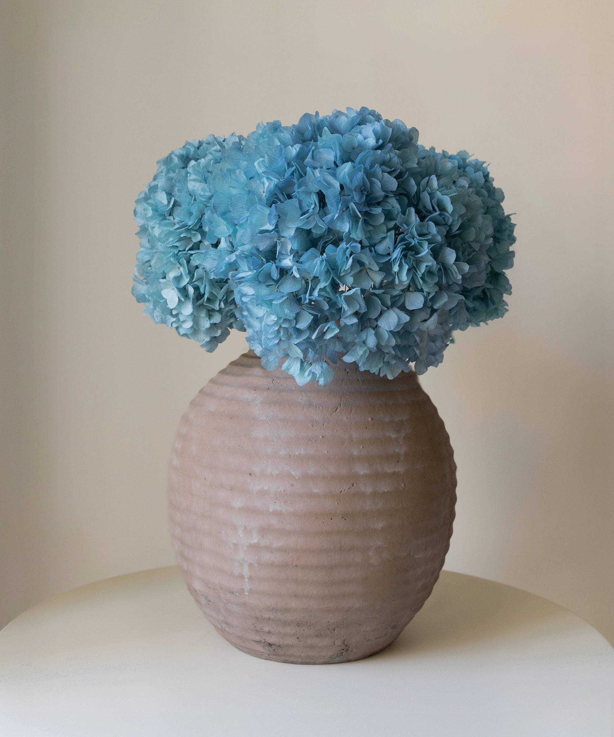 Ramo de Hortensias Preservadas