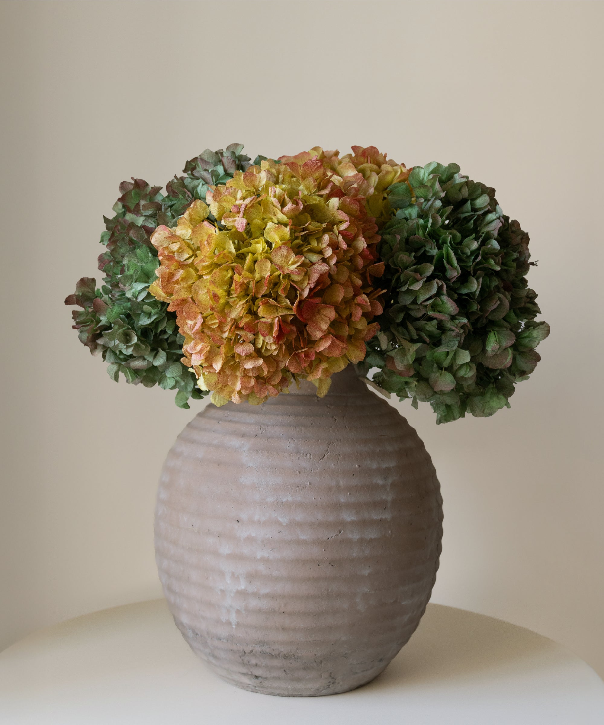 Ramo de Hortensias Preservadas