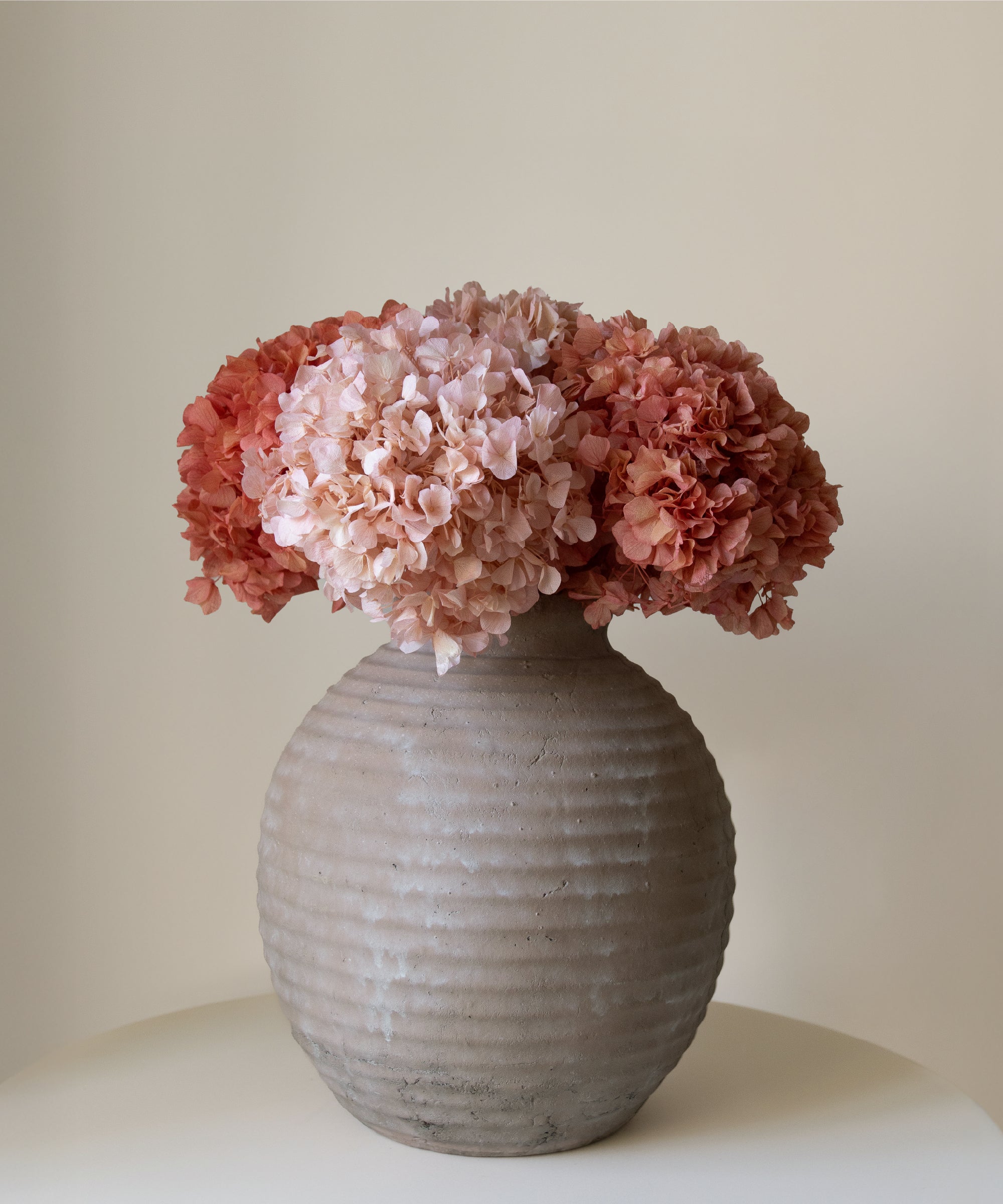 Ramo de Hortensias Preservadas