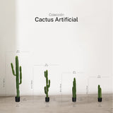 Cactus artificiale