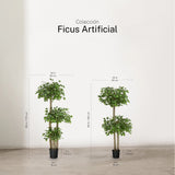 Ficus Artificial Copas