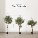 Olivo Artificial Centennial