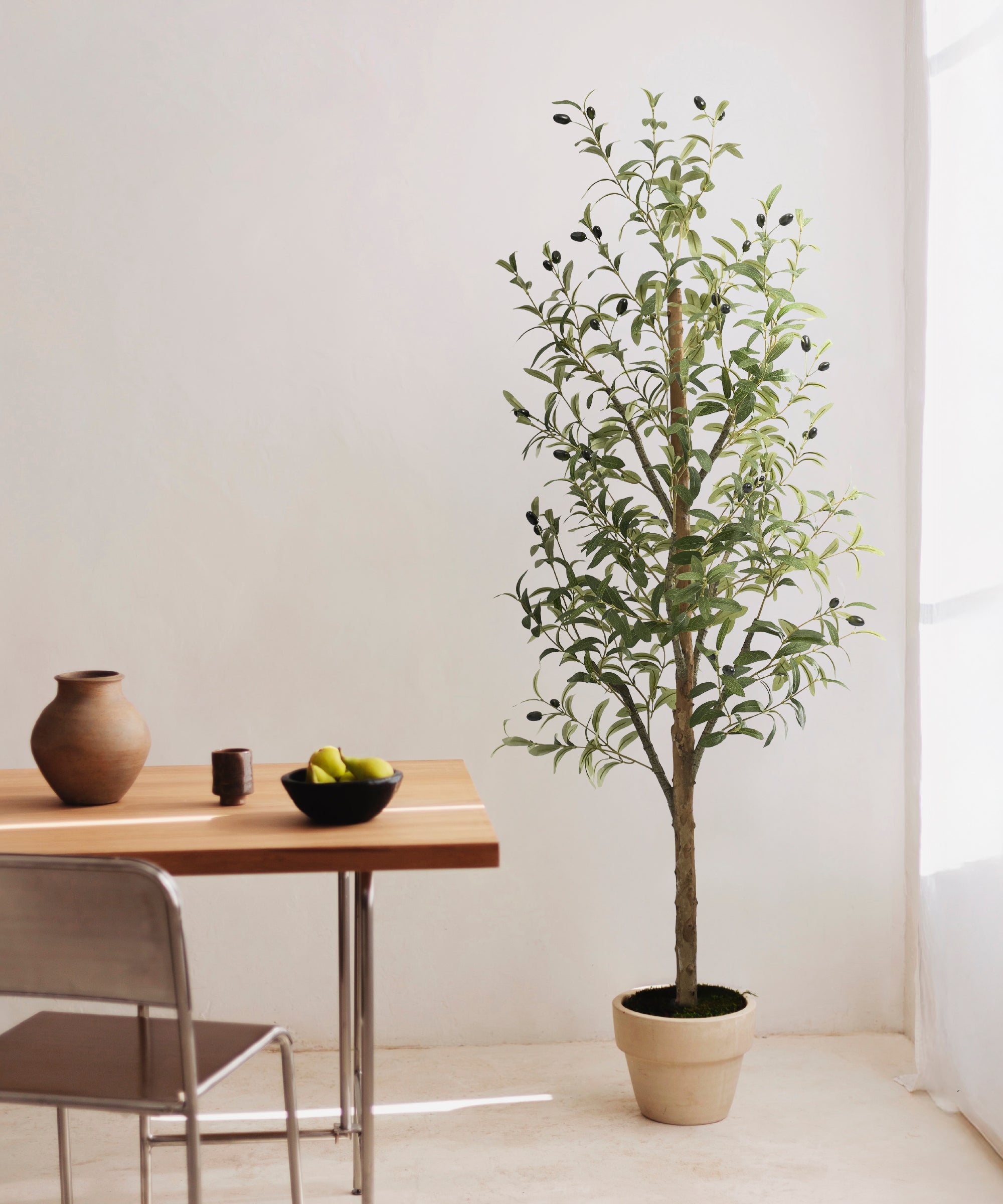 Olivo Minimal MAIA SHOP