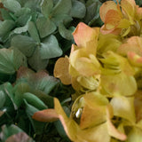 Ramo de Hortensias Preservadas