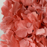 Ramo de Hortensias Preservadas