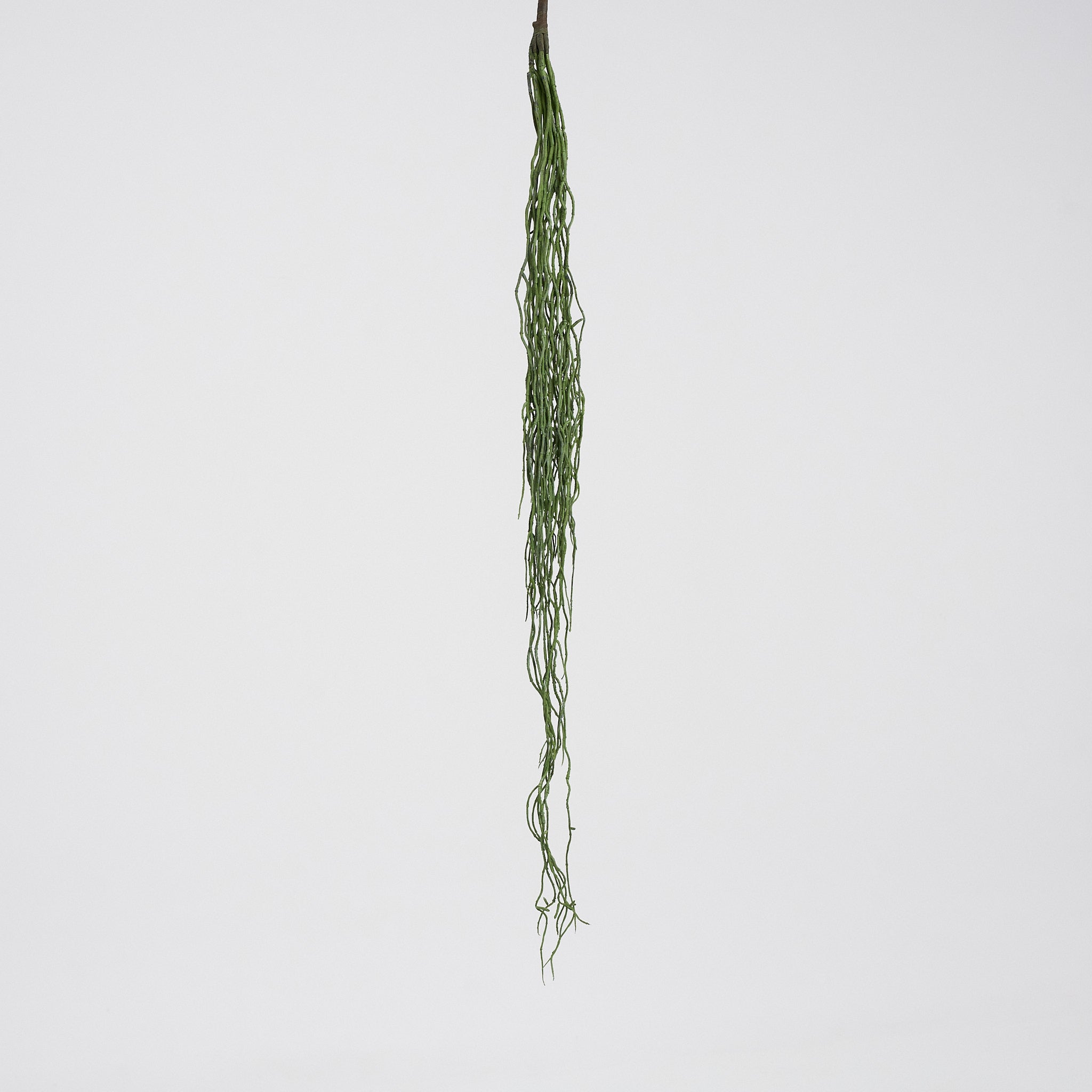 Colgante Artificial Rhipsalis Verde