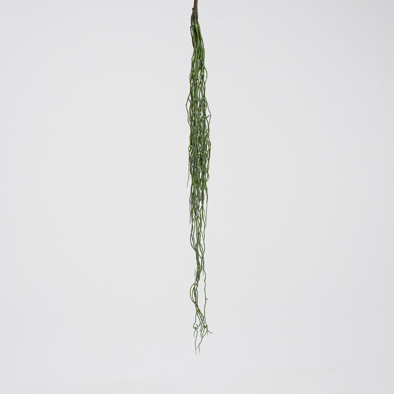 Colgante Artificial Rhipsalis Verde