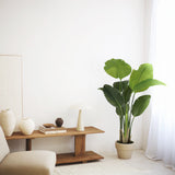 Strelitzia Artificial 120 cm