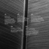 Strelitzia Artificial 150 cm