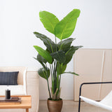 Strelitzia Artificial 180 cm