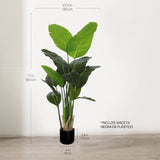 Strelitzia Artificial 180 cm