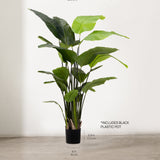 Strelitzia artificial 210 cm