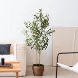 Olivo artificial Flair 120 cm