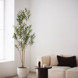 Olivo artificial Flair 180 cm