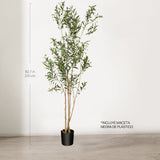 Olivo artificial Flair 210 cm