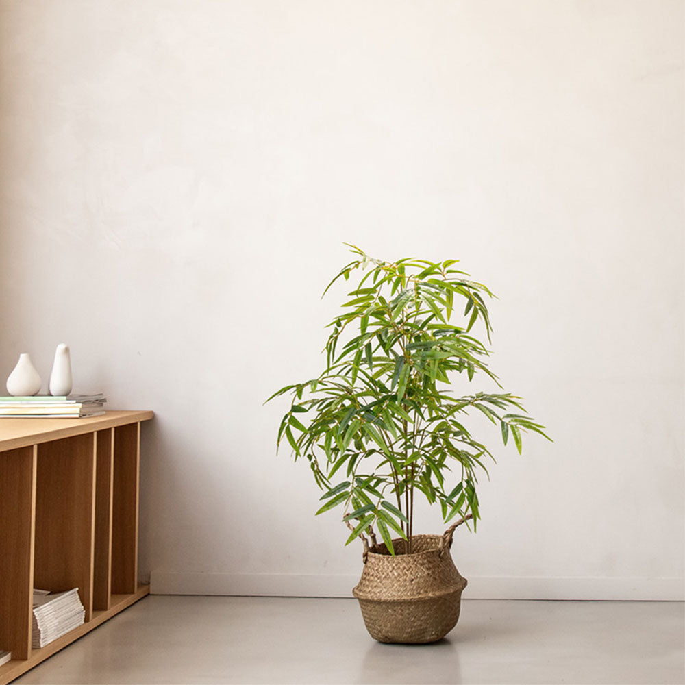 bambu minimal 110
