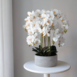 Künstliche Orchidee mit Keramiktopf Sira