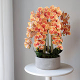 Künstliche Orchidee mit Keramiktopf Sira