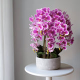 Künstliche Orchidee mit Keramiktopf Sira