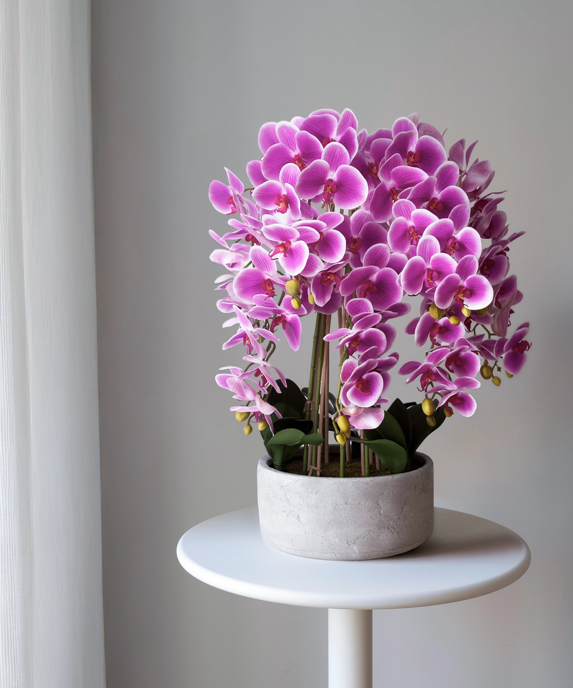 Orquídea artificial con Maceta de cerámica Sira