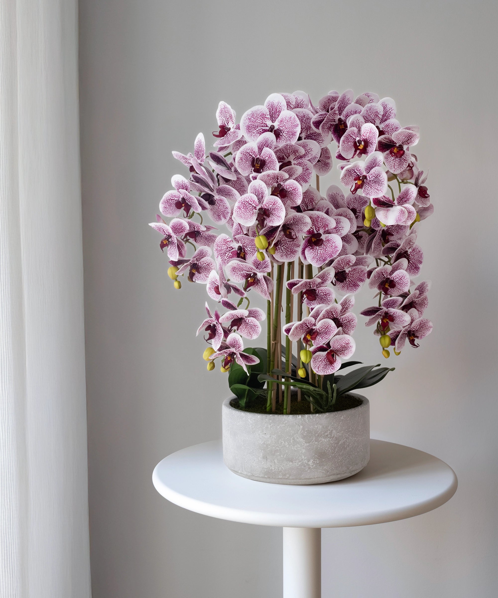 Orquídea artificial con Maceta de cerámica Sira