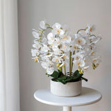 Künstliche Orchidee mit Mila Keramiktopf