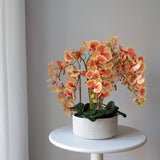 Künstliche Orchidee mit Mila Keramiktopf