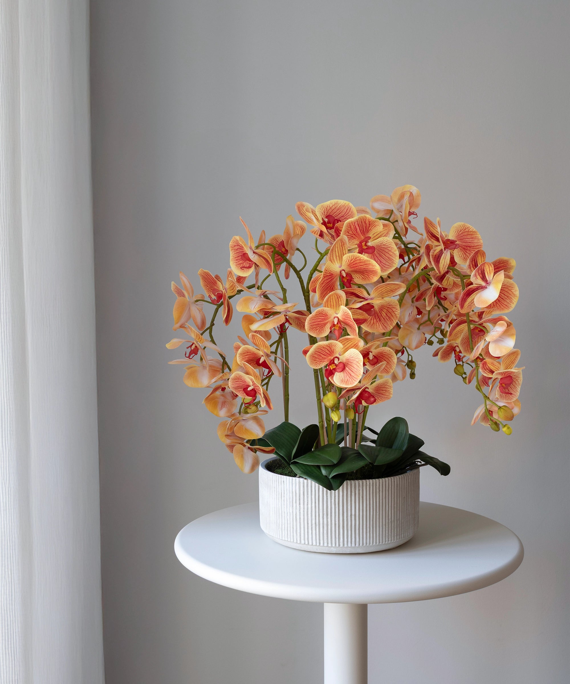 Künstliche Orchidee mit Mila Keramiktopf