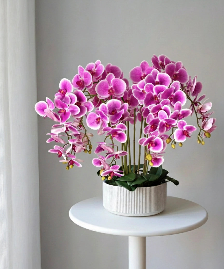 Künstliche Orchidee mit Mila Keramiktopf