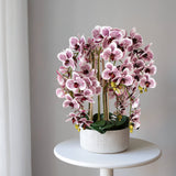 Künstliche Orchidee mit Mila Keramiktopf