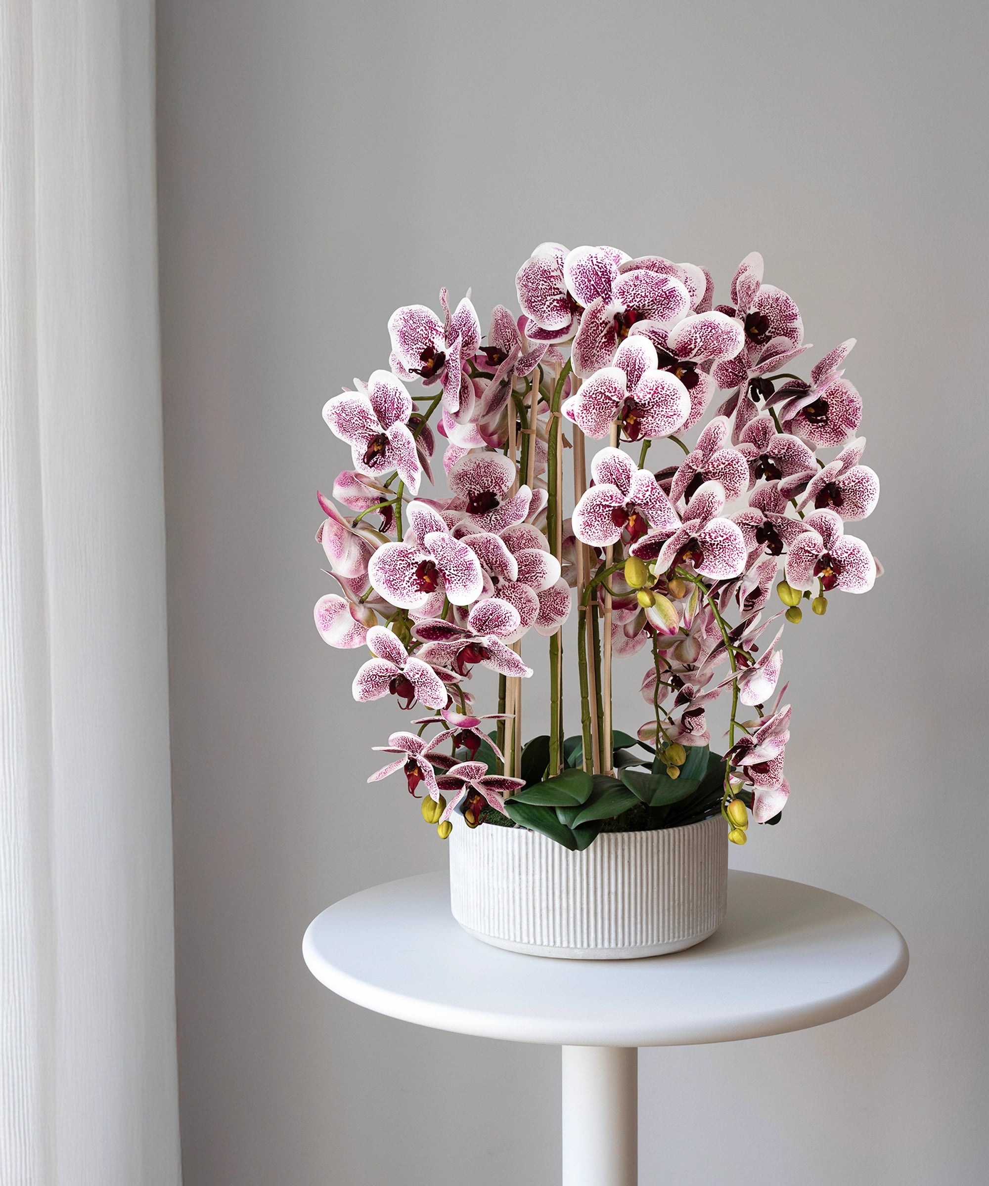 Künstliche Orchidee mit Mila Keramiktopf