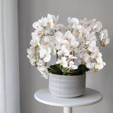 Orquídea artificial con maceta de cerámica Lina