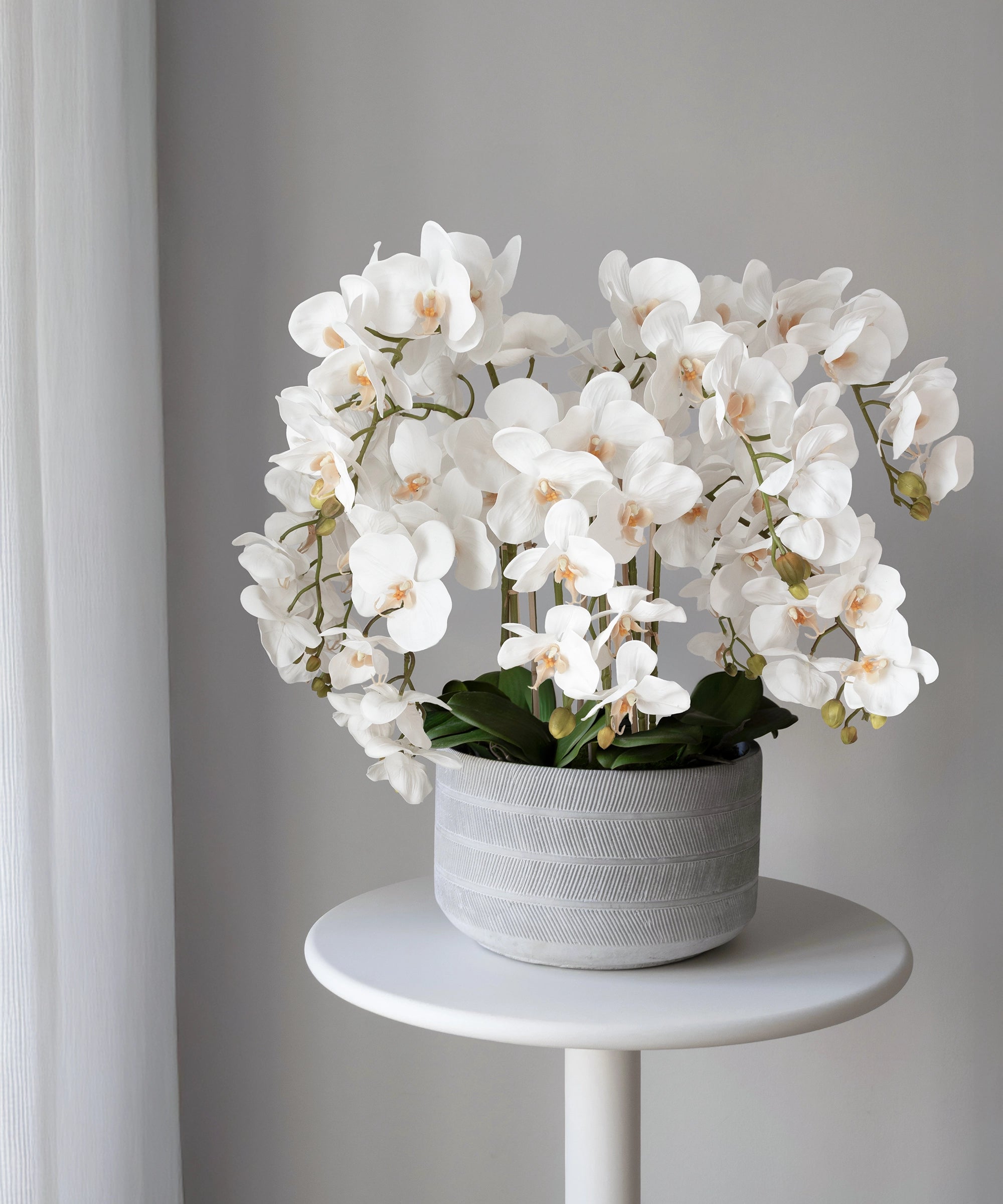 Orquídea artificial con Maceta de cerámica Lina