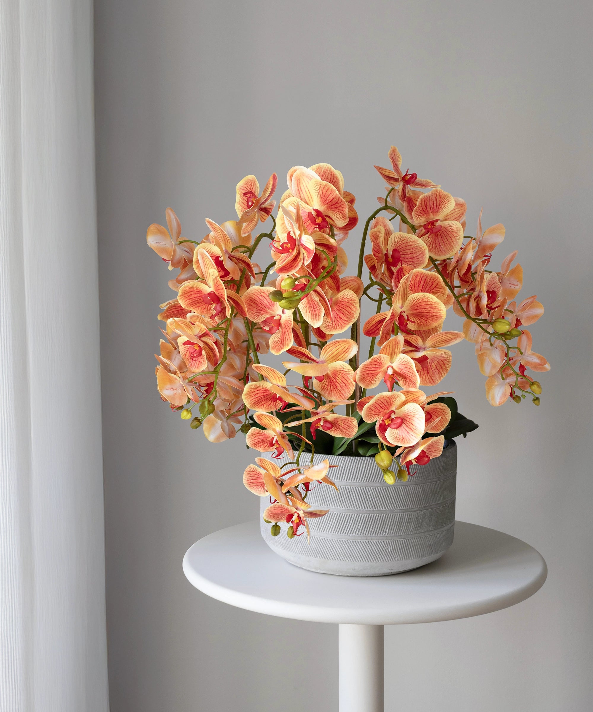 Orquídea artificial con Maceta de cerámica Lina