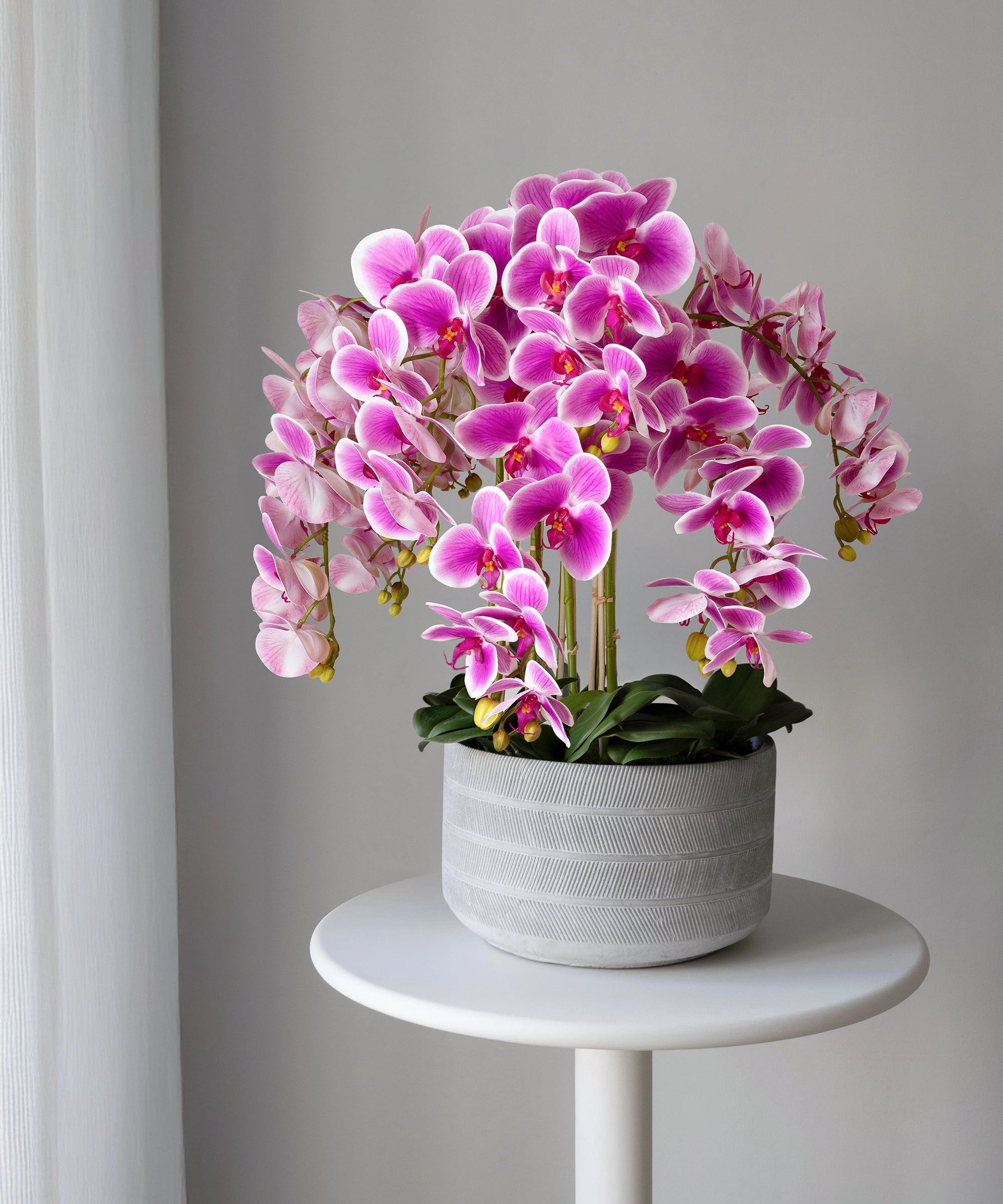 Orquídea artificial con Maceta de cerámica Lina