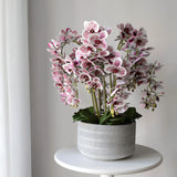 Orquídea artificial con maceta de cerámica Lina