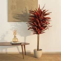 Albero di Eucalipto Preservato Baby