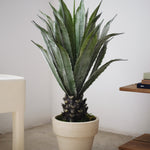 Agave Artificial 90 MAIA SHOP