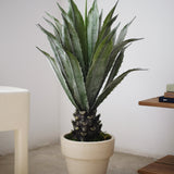 Agave Artificial 90 MAIA SHOP