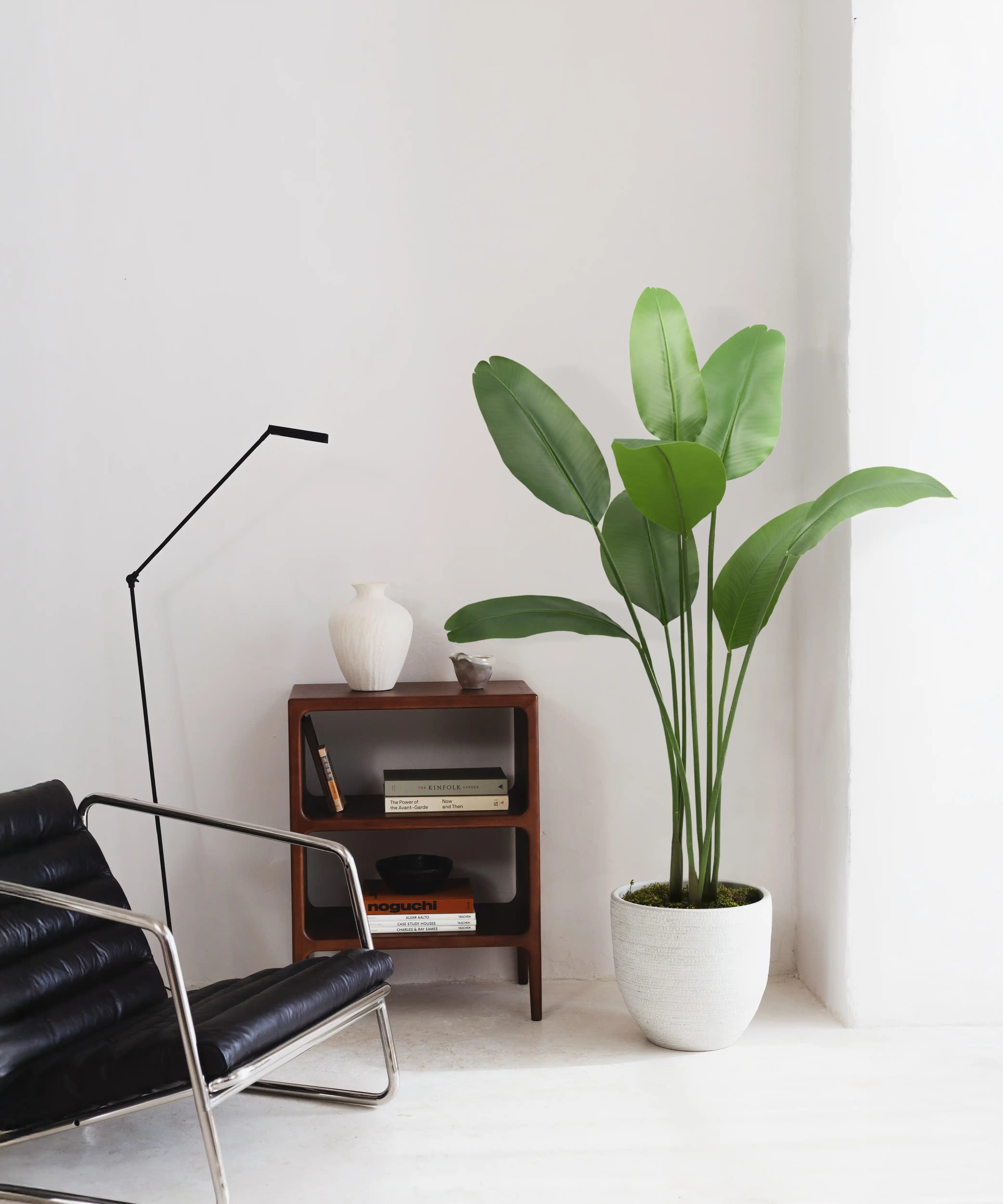 Ave del Paraiso Artificial 150 MAIA SHOP