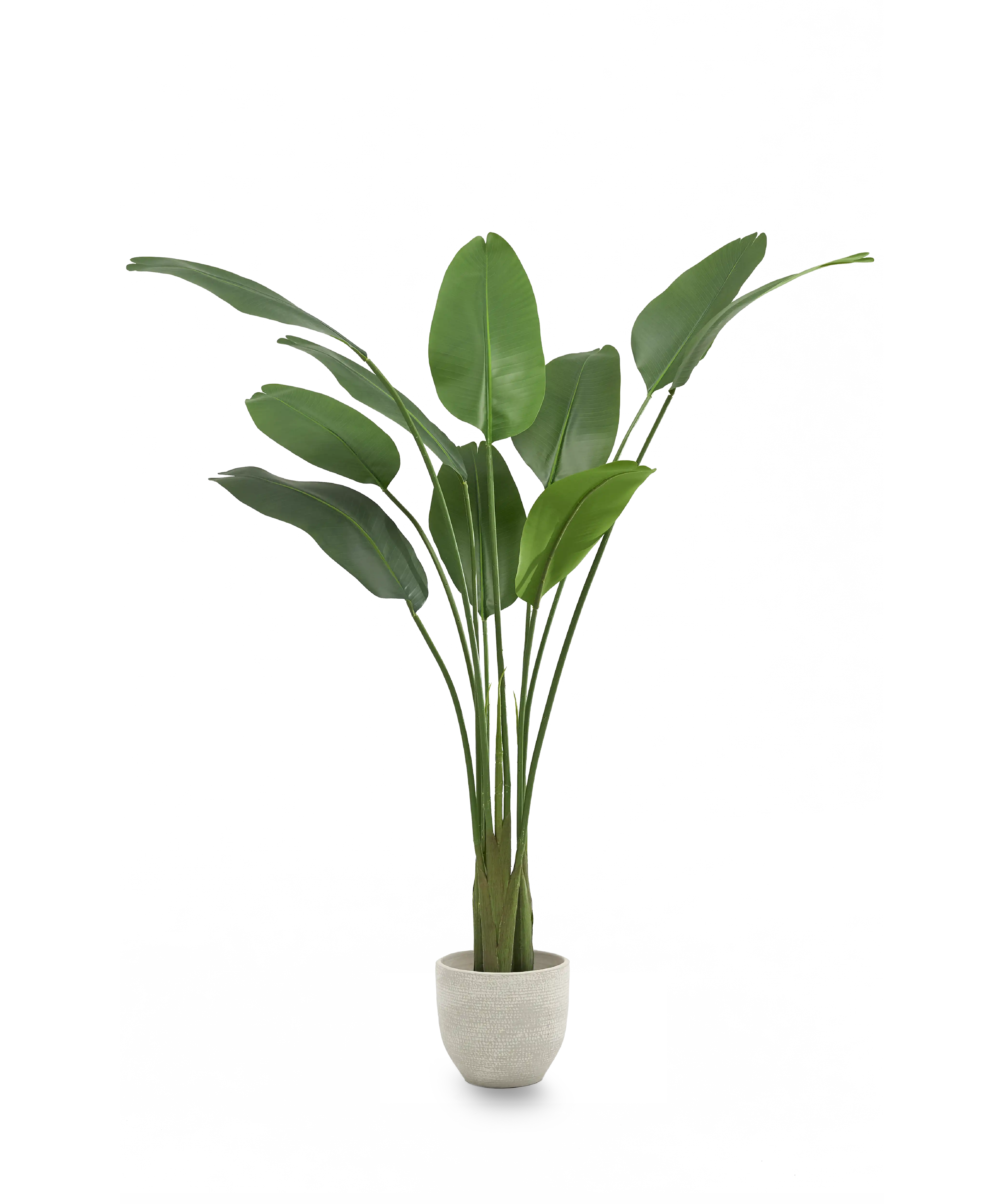Ave del Paraiso Artificial 180 MAIA SHOP PNG
