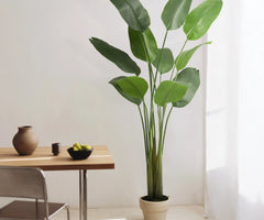 Ave del Paraiso Artificial 210 MAIA SHOP